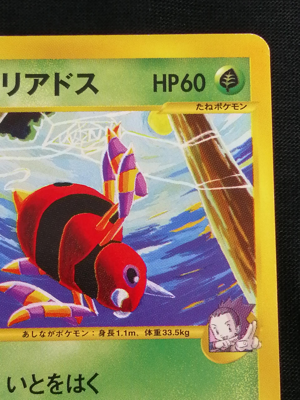 白かけあり