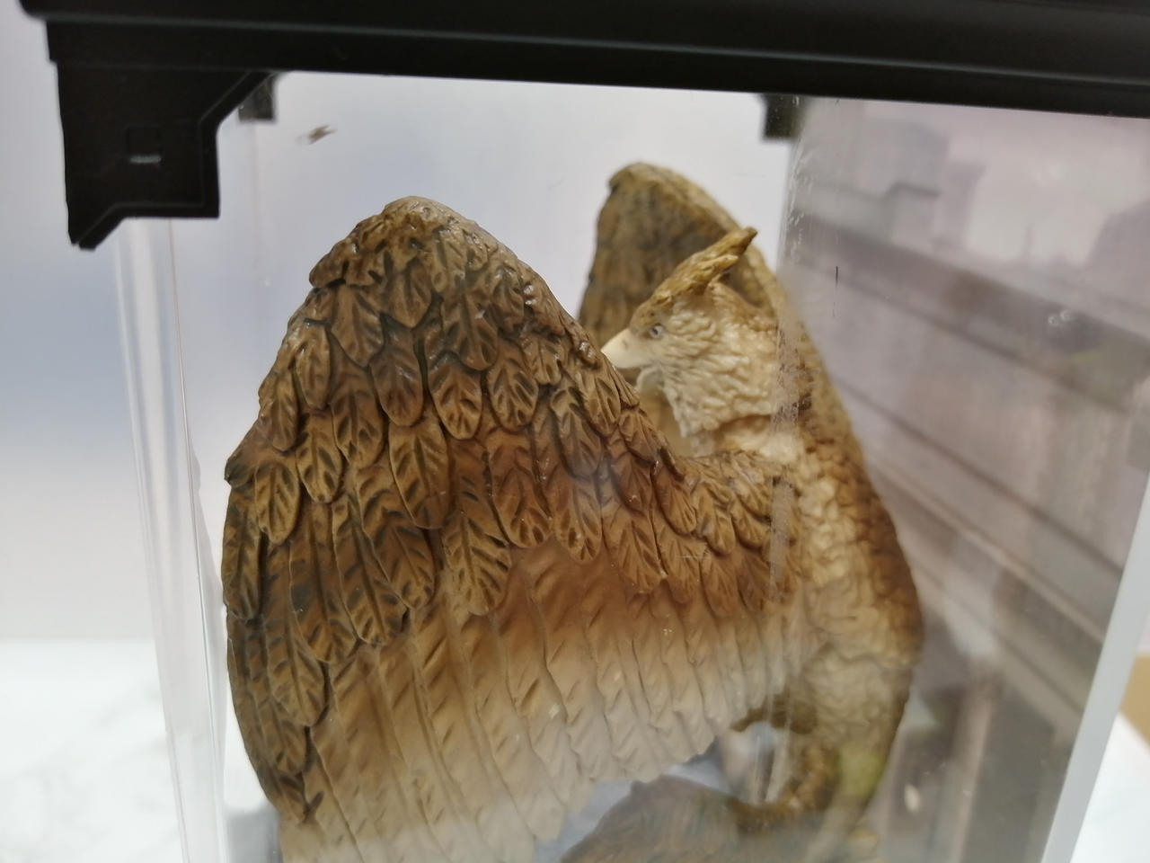 ケースヨゴレあり