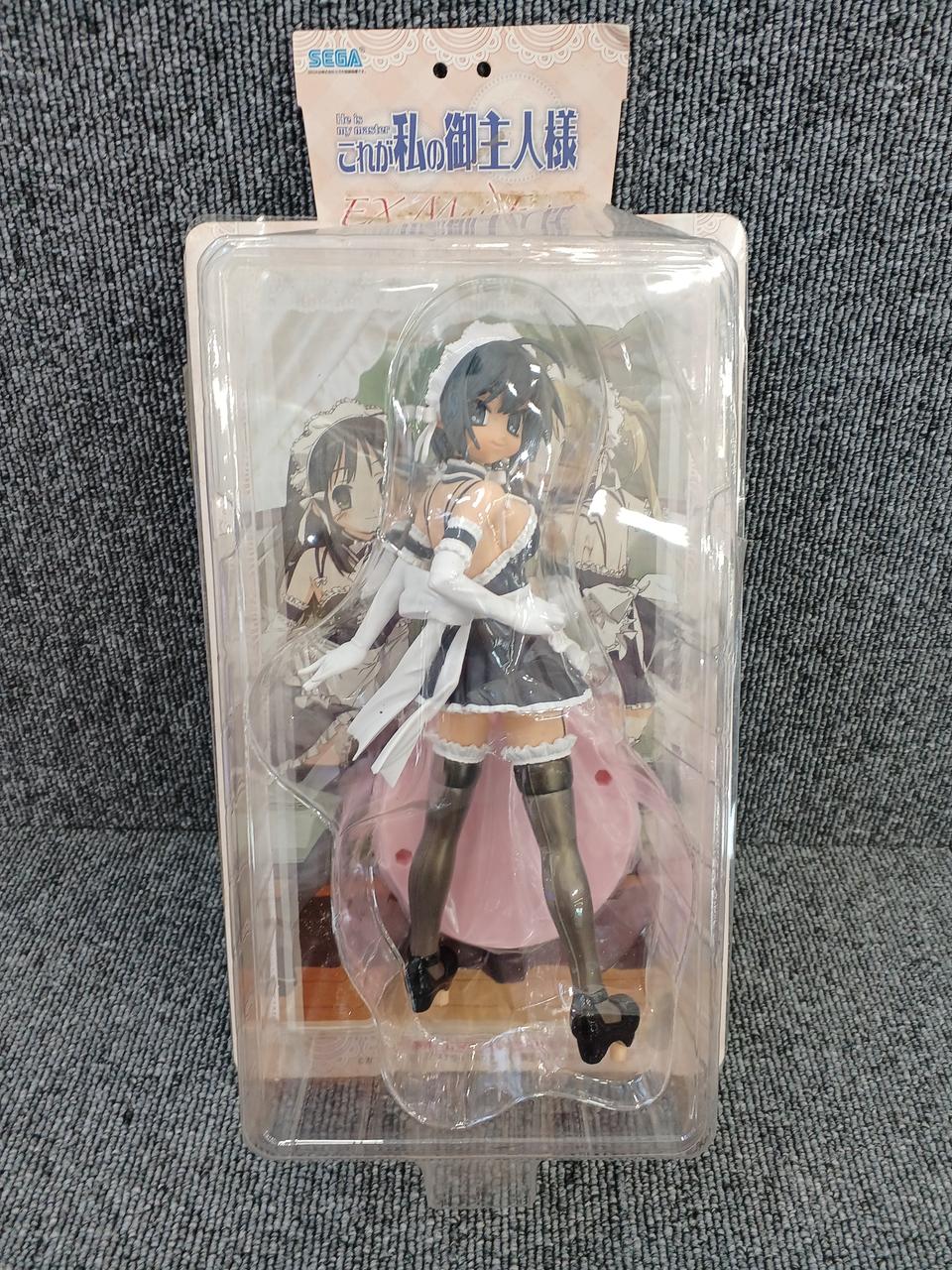 これが私の御主人様