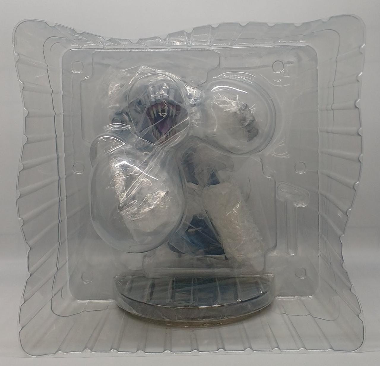 ブリスター正面