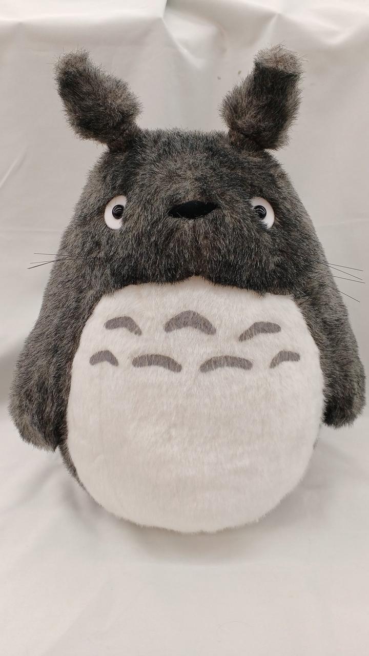 目立ったた大きな汚れはありません。