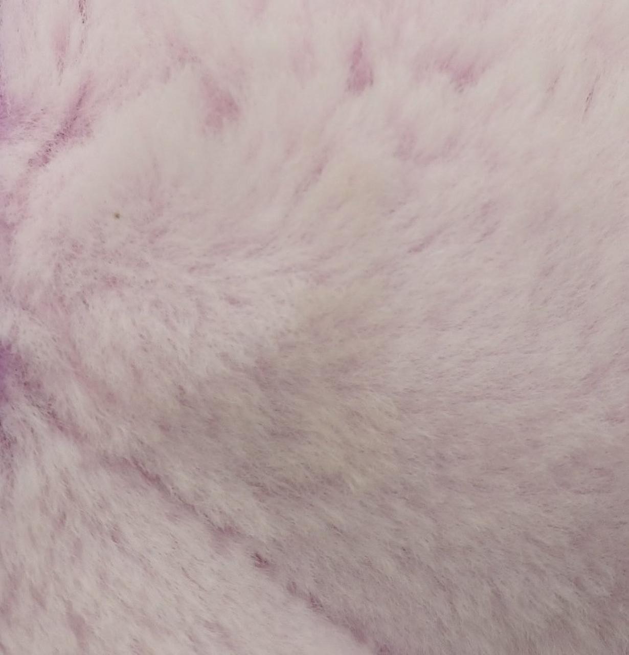 本体少々汚れあり