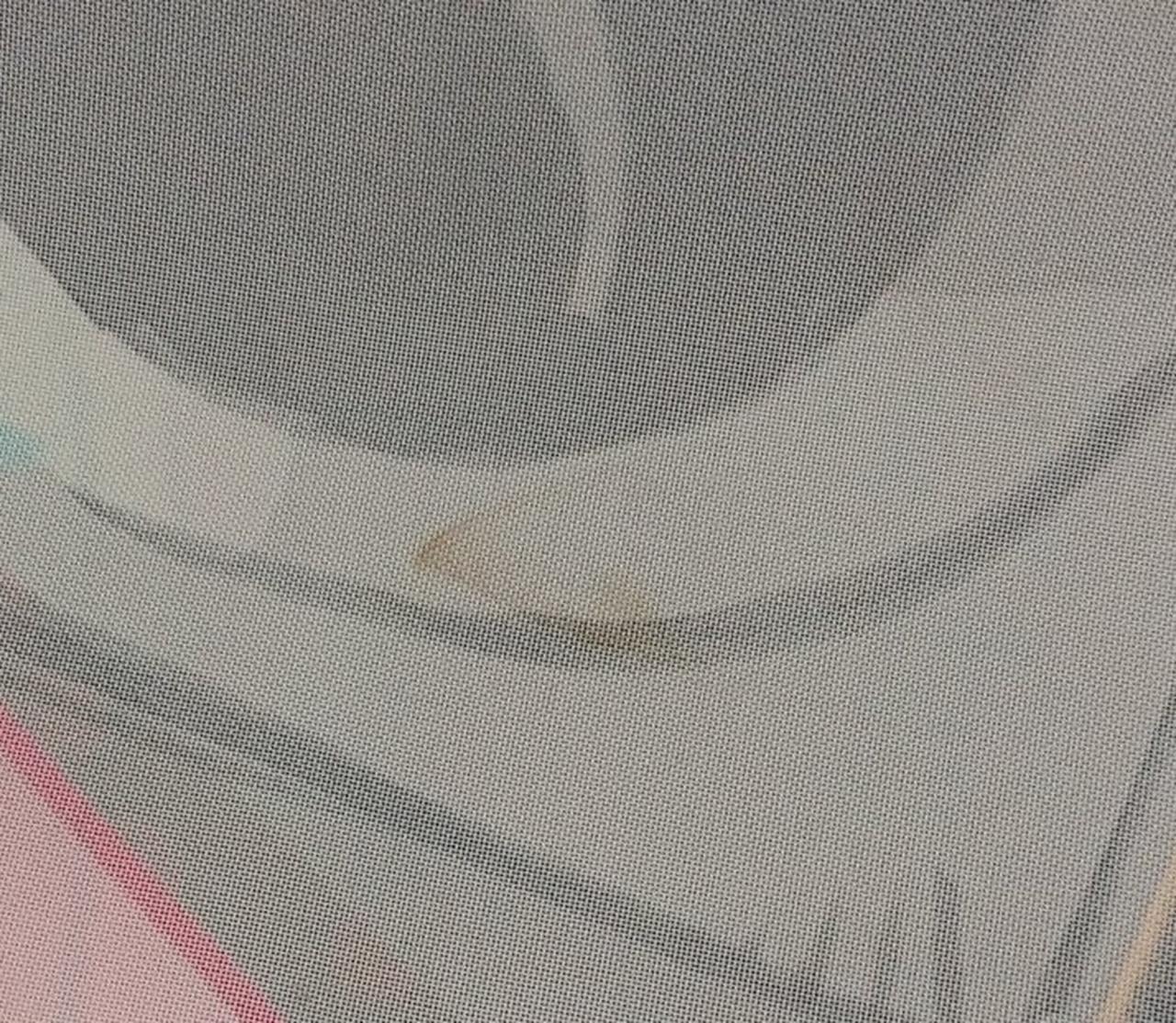 裏面シミあります