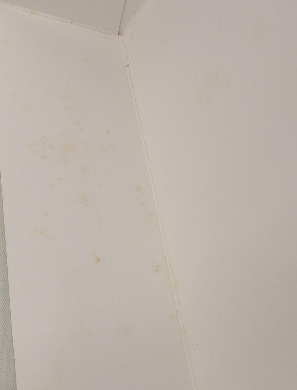 箱内側汚れあり