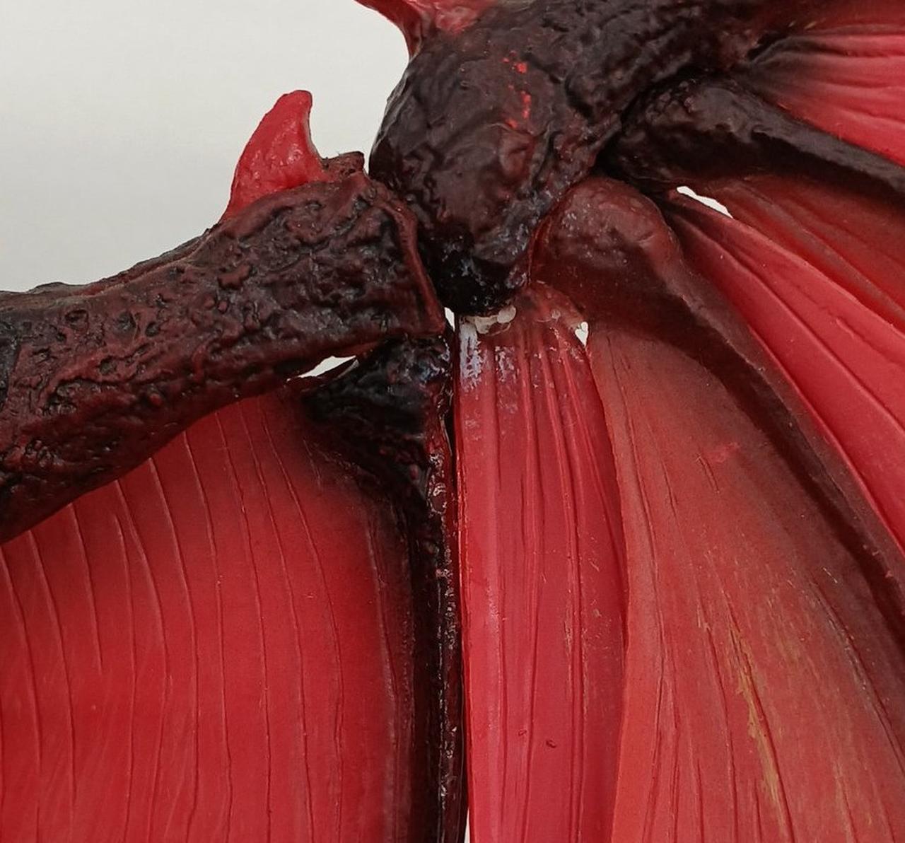 左羽に接着跡らしきものあり