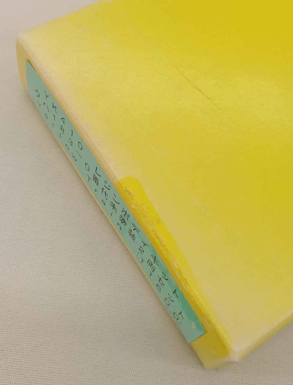 色あせ、イタミあり