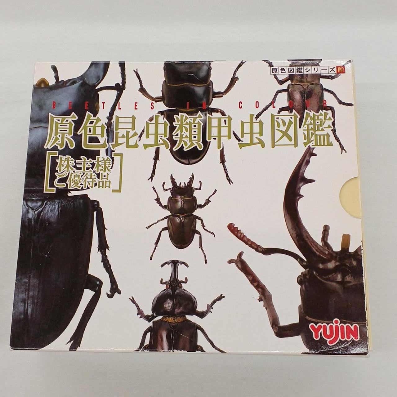 外箱色あせあり