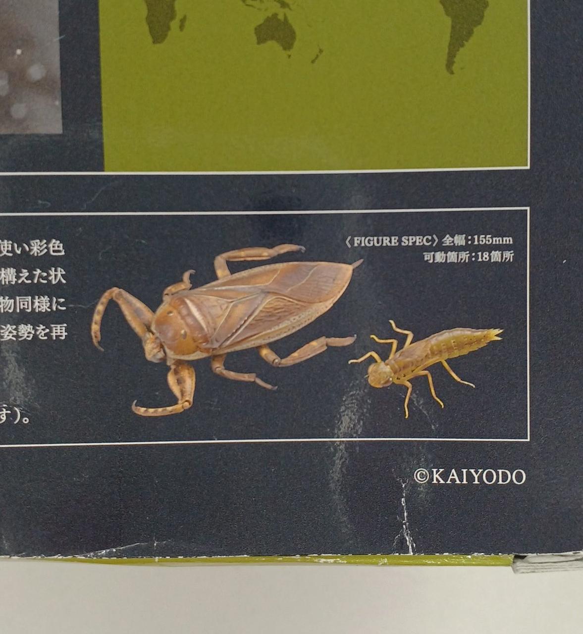 箱全体にキズ・へこみ・歪みあり