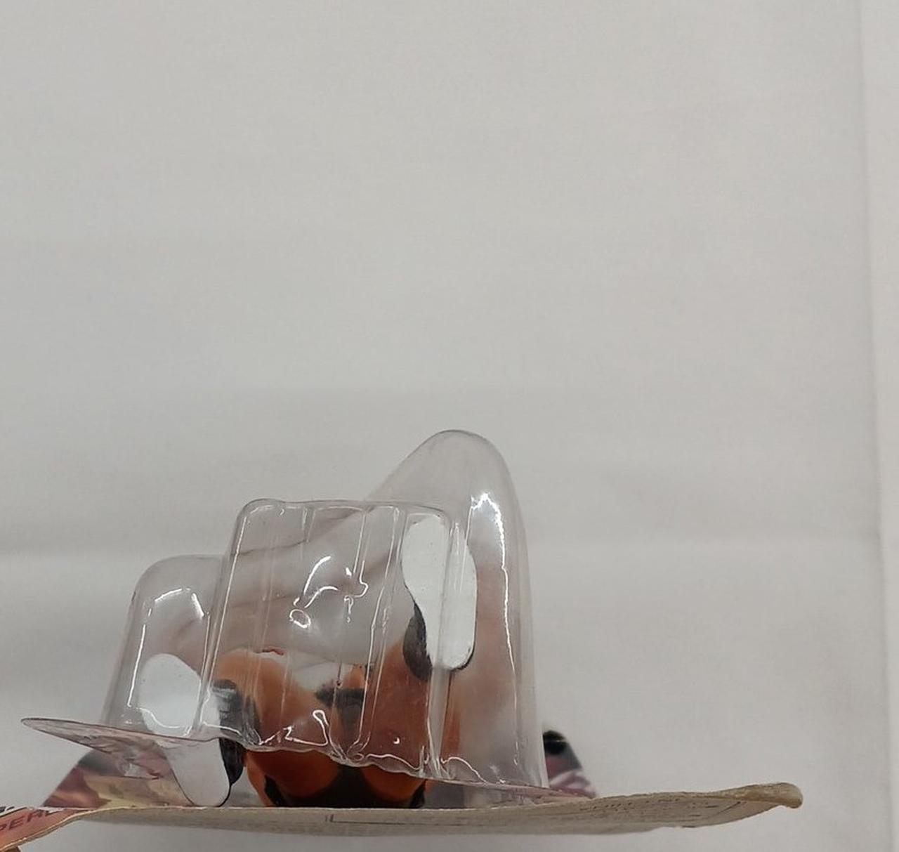 パッケージ一部開いてます