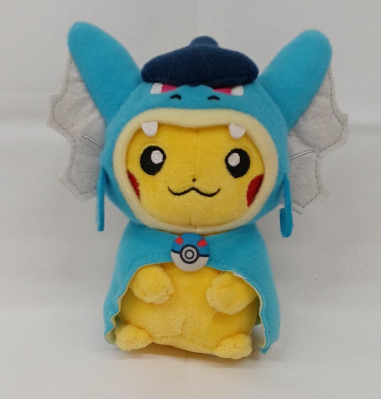 写真にあるもので全て