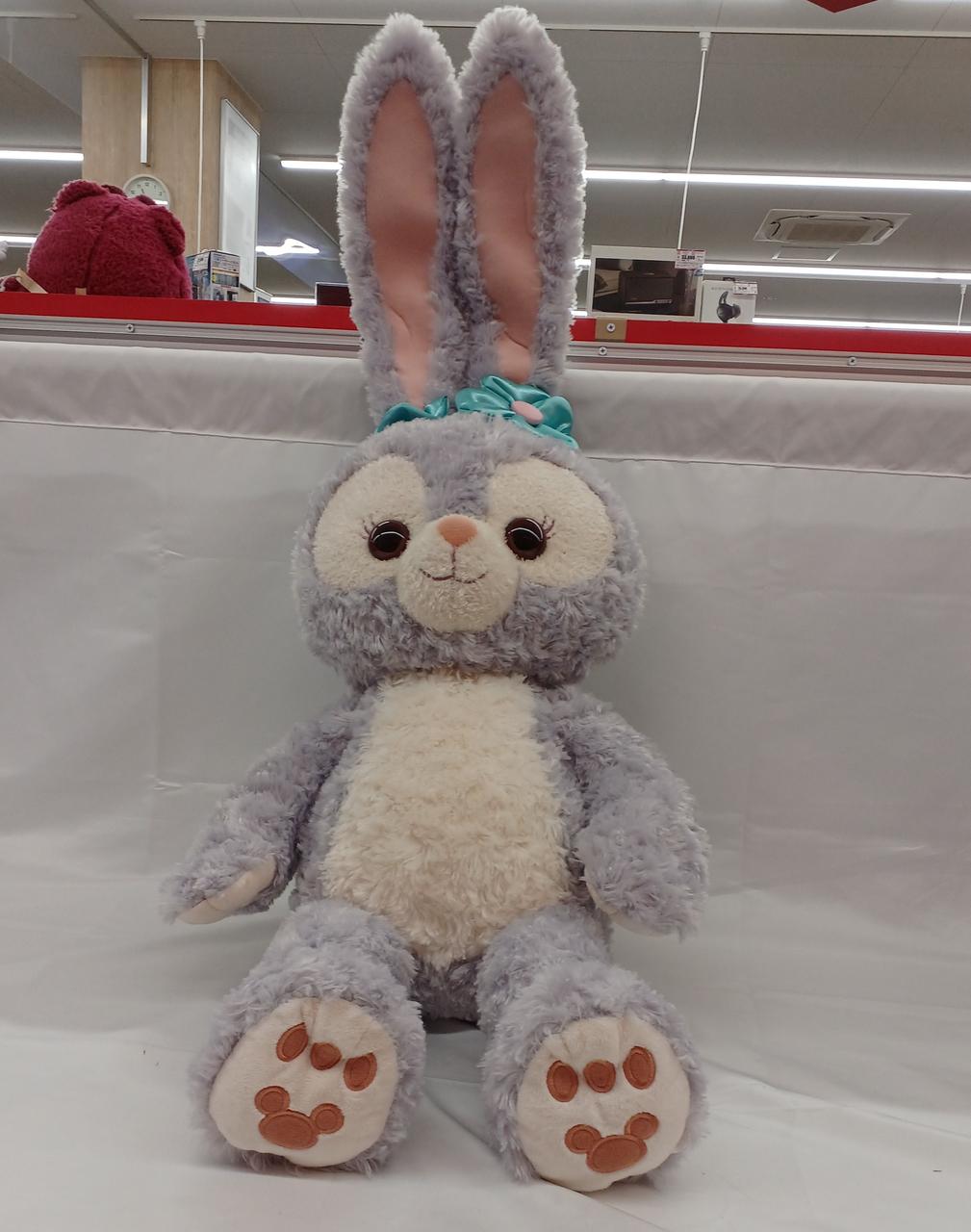 タグ外れ
現状品