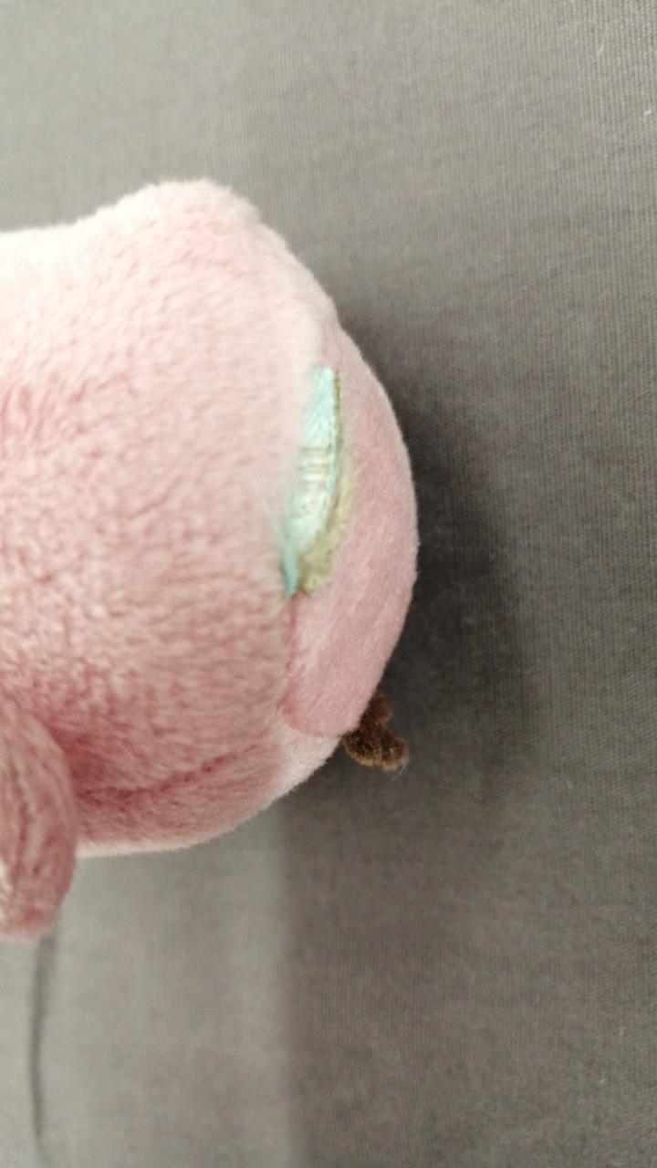 タグ切ってあります。