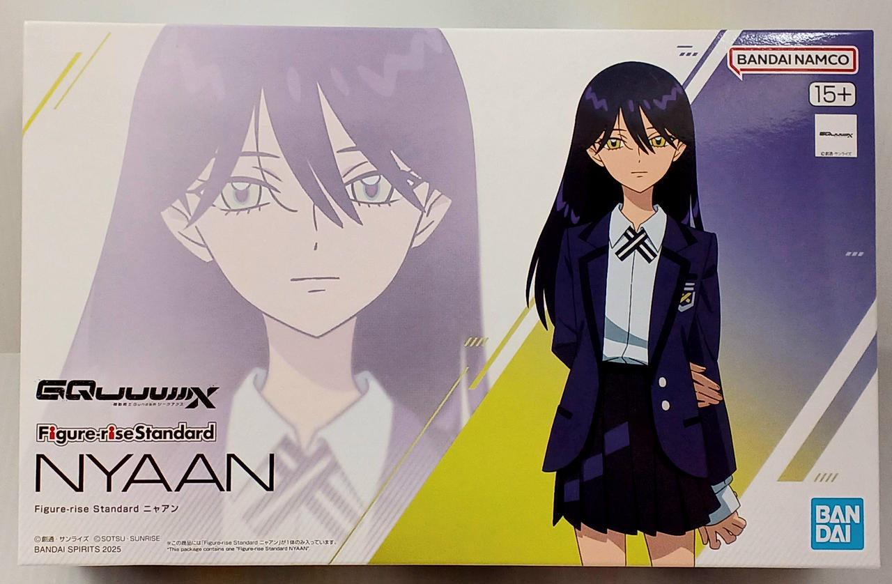 FIGURE-RISE STANDARD
