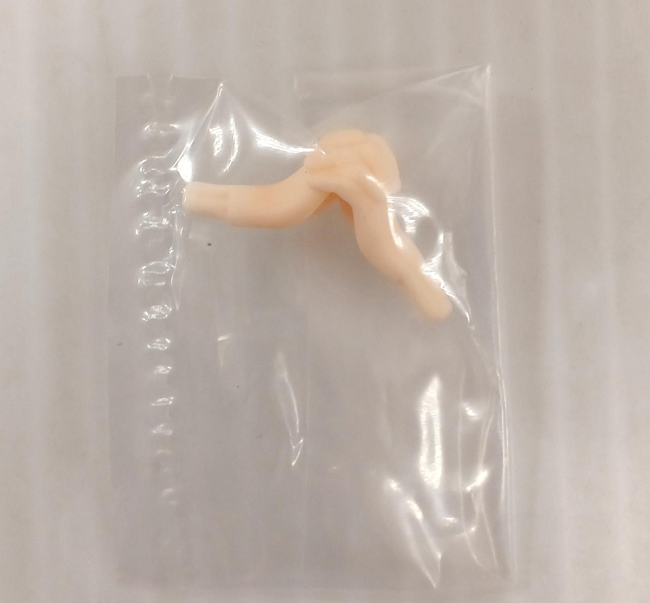 ボーナスパーツ