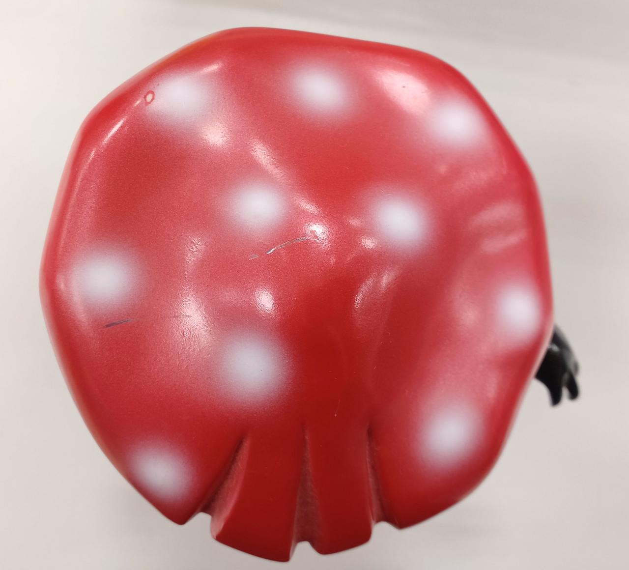 頭部キズあり