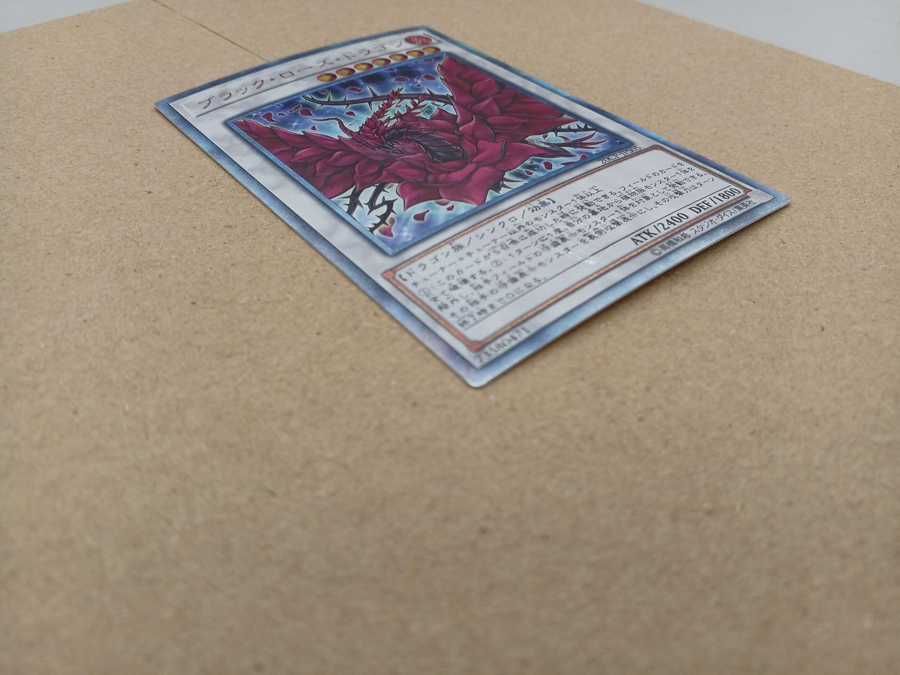 プランク・ローズ・ドラゴン 51+saNSsopL._UF350,350_QL50_.jpg