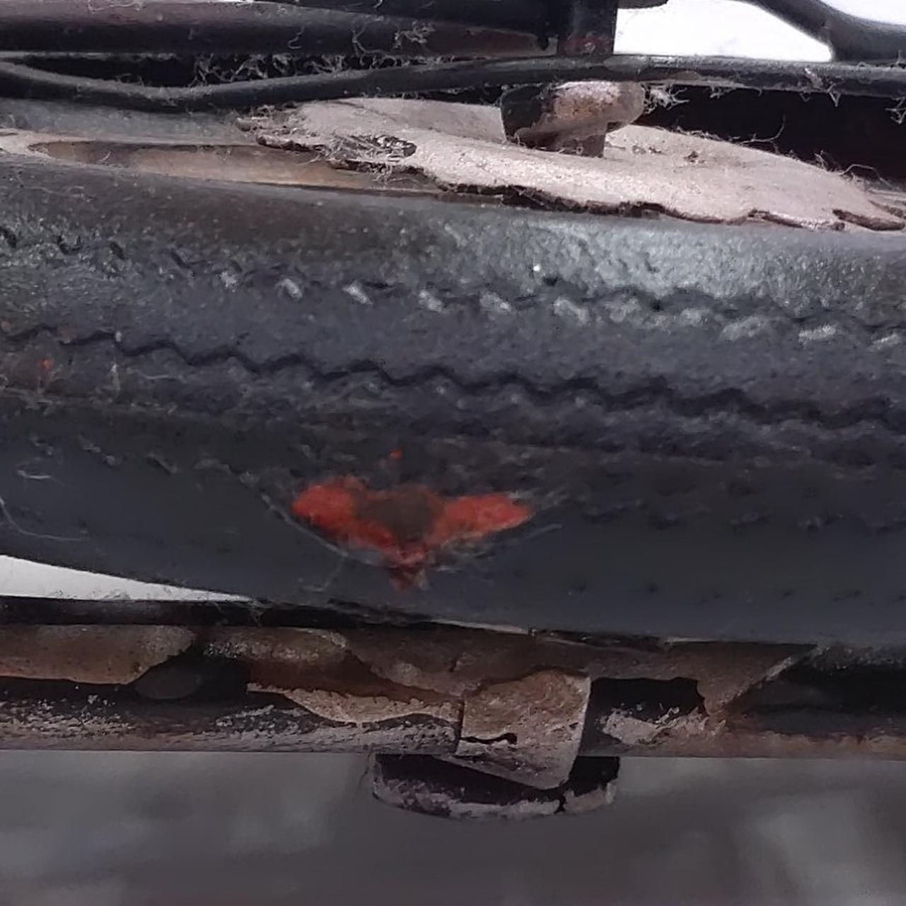 後ろタイヤ剥げ