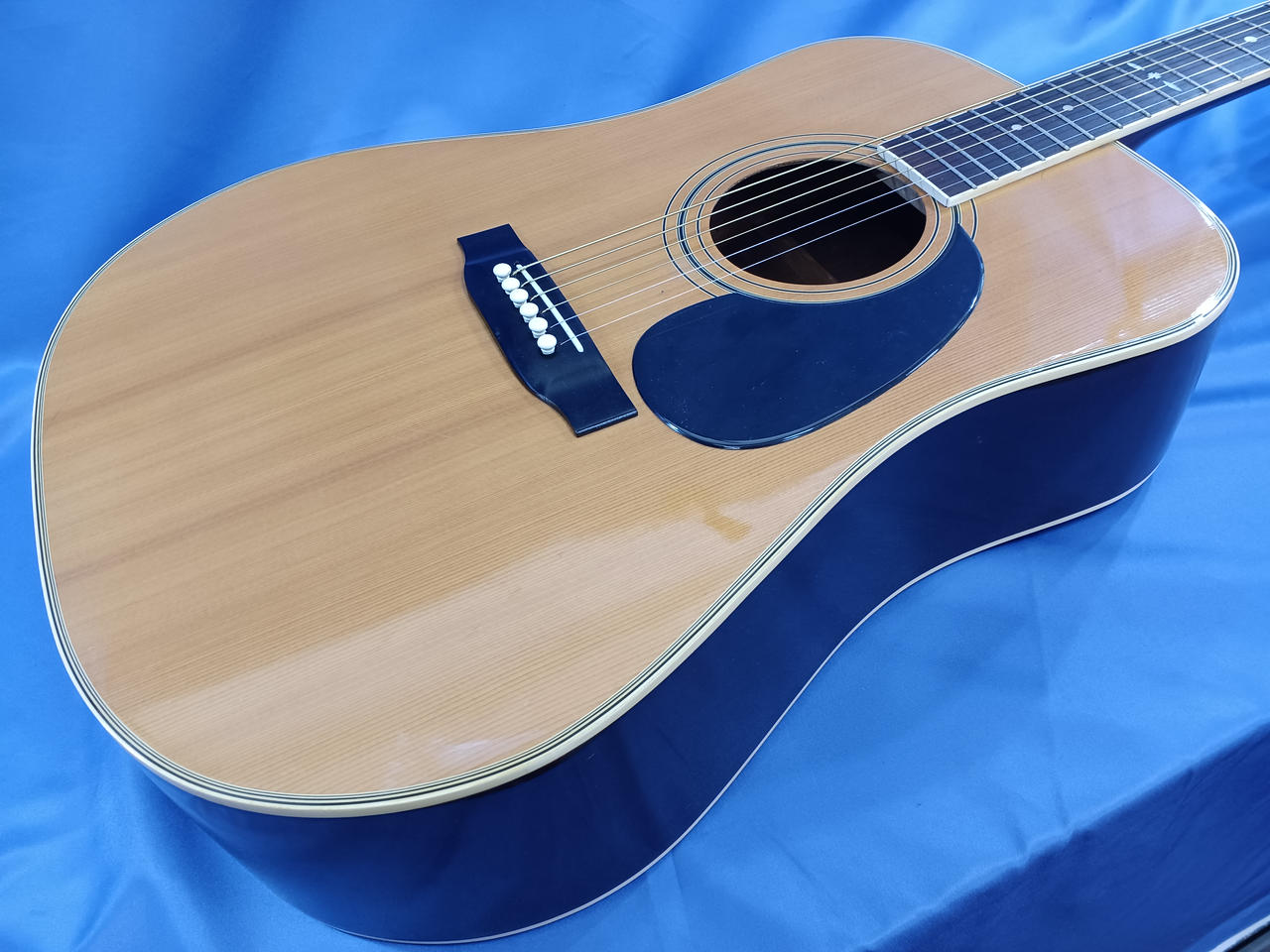 キャッツアイ(CAT'S EYES)|アコースティックギター|HARDOFFオフモール