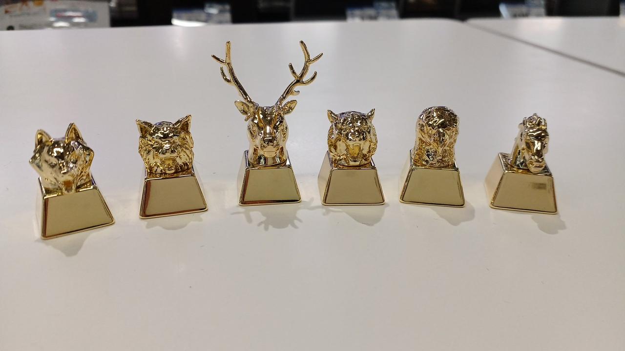 おそらく新品時は別売のキーキャップです