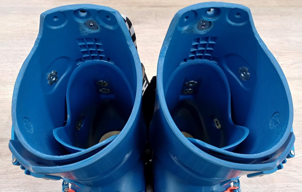 シェルが大きくカットされています