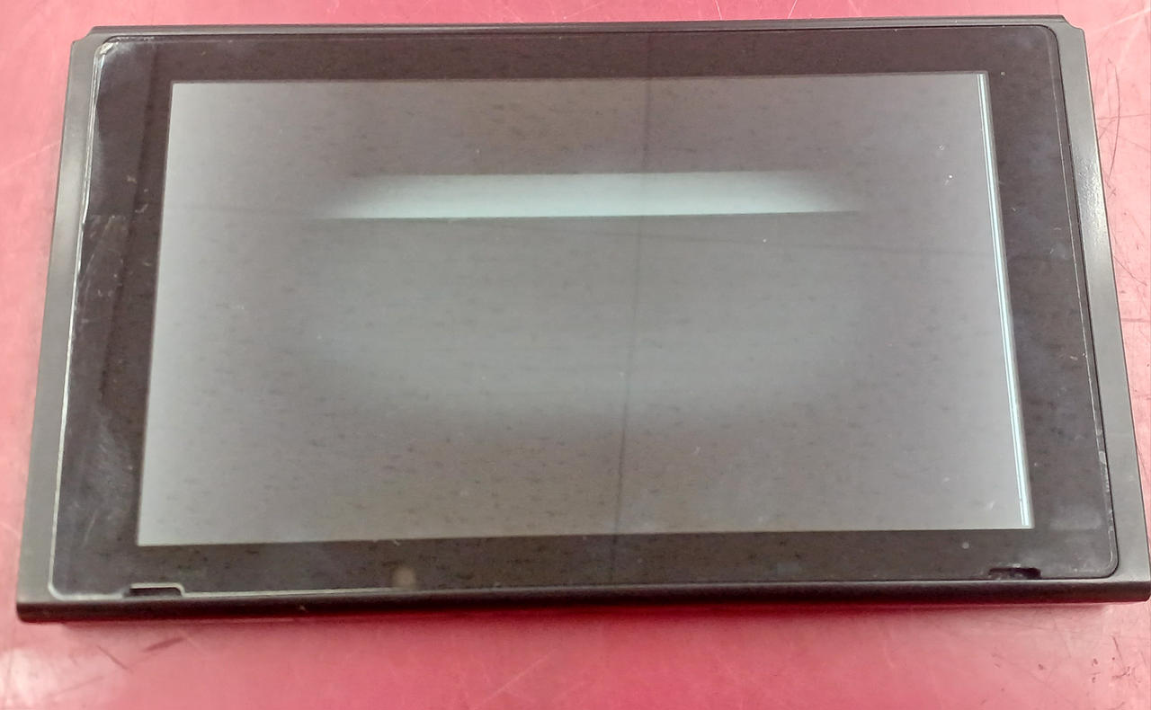 【ジャンク】SWITCH