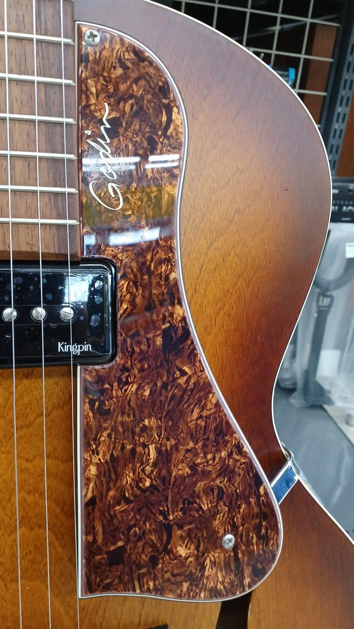 かなり美品 オール単板 ゴダン Godin エレアコ セミハードケース付 かなり美品 オール単板 ゴダン Godin エレアコ セミハードケース付