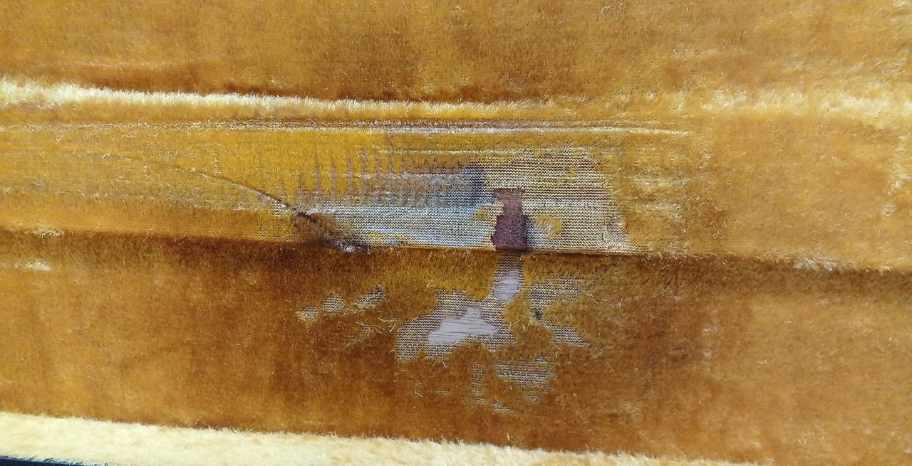 ケース内劣化。触ると毛がポロポロ落ちます