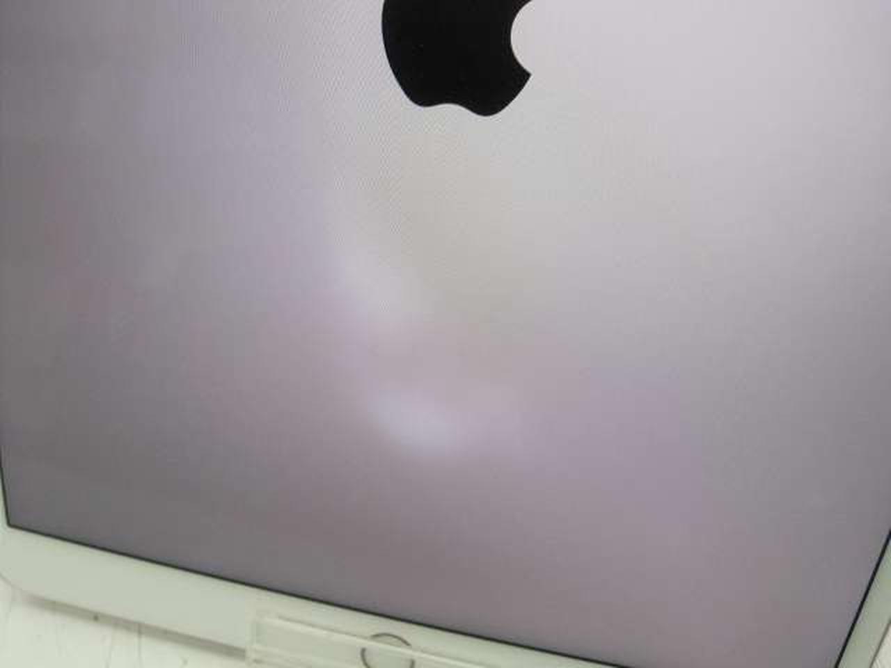 ホワイトスポットあり