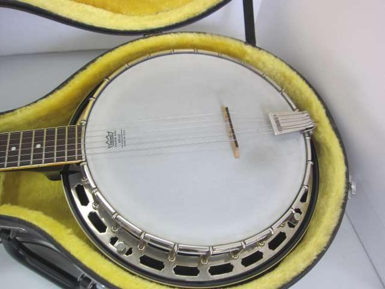 Vine製　6弦　バンジョーギターΩ 