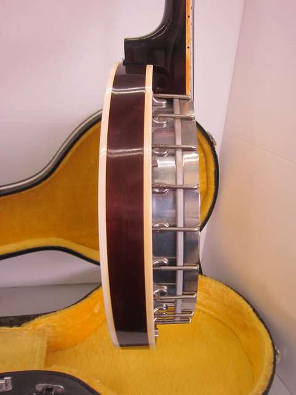 Vine製　6弦　バンジョーギターΩ 