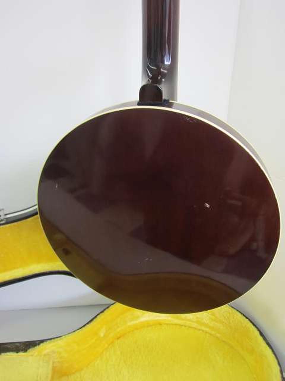 Vine製　6弦　バンジョーギターΩ 