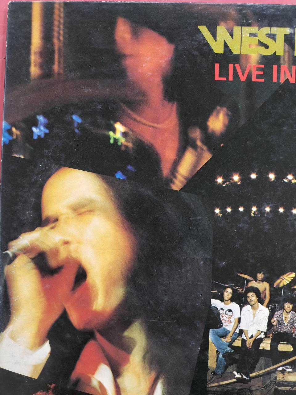 ところどころ白いです