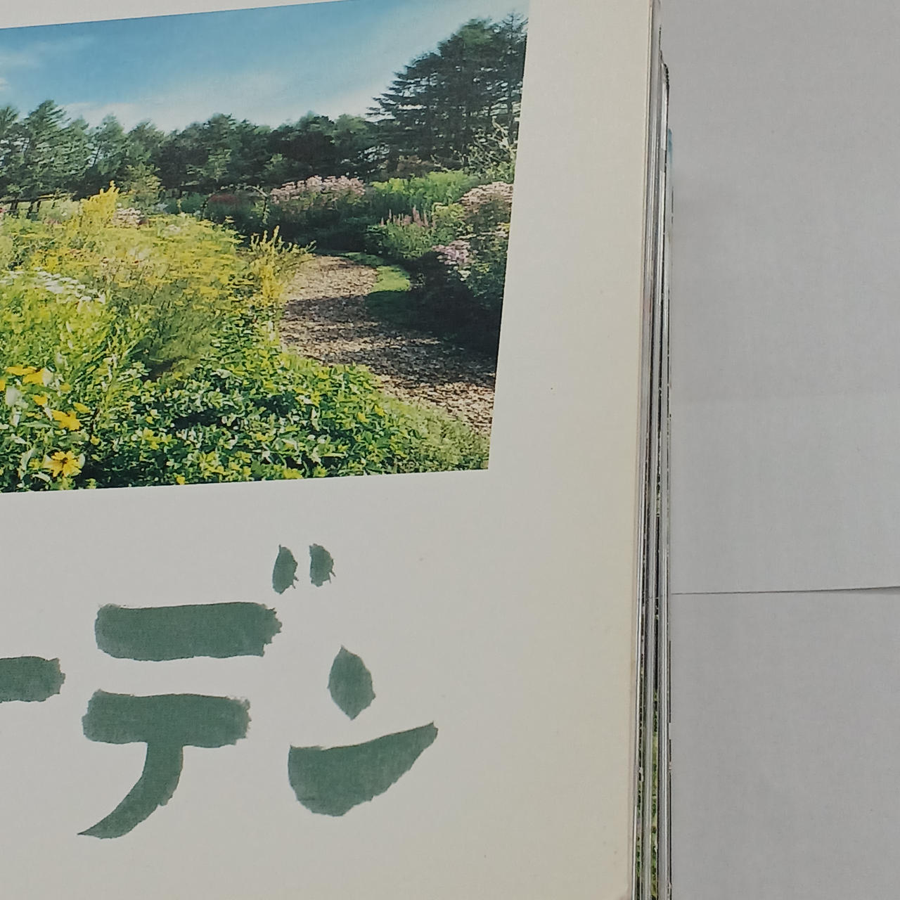 右側日焼けあり