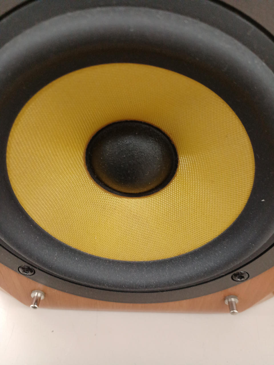 ウーハーエッジにシミあり