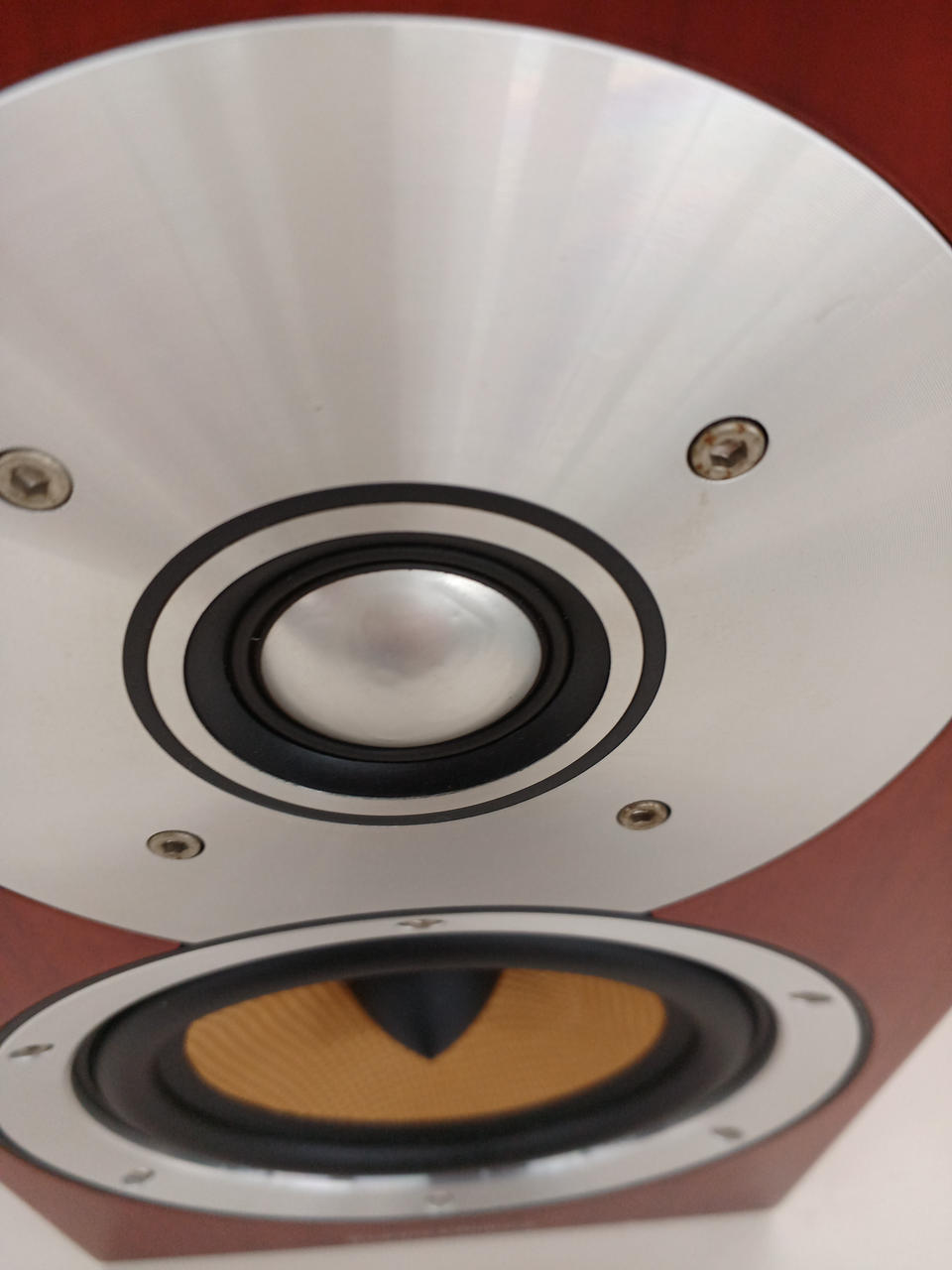 ツィータードーム変形あり