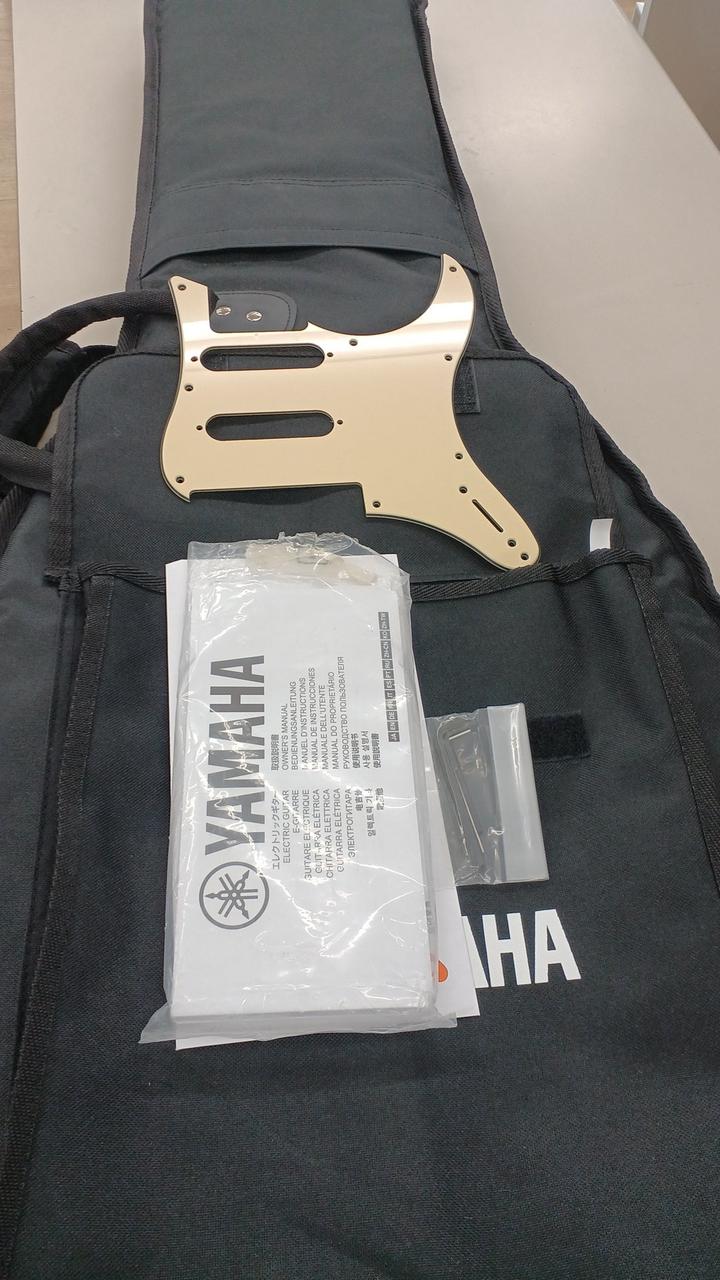 付属品です。純正ピックガードあり