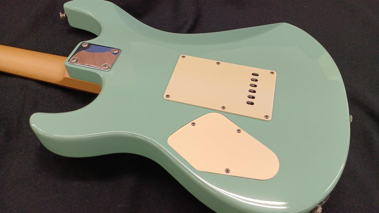 バックプレートも変色しています