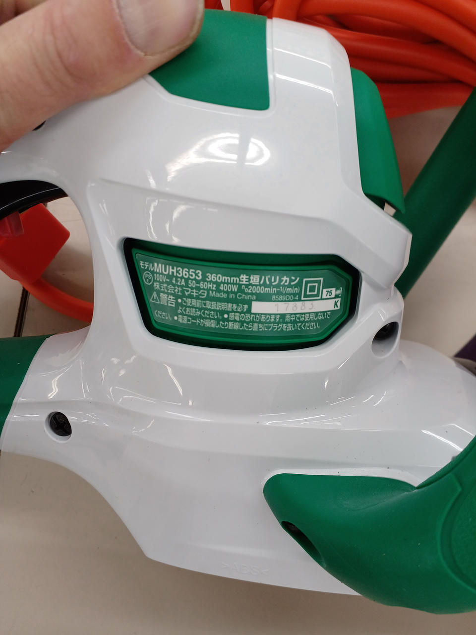 目立つ 痛みありません