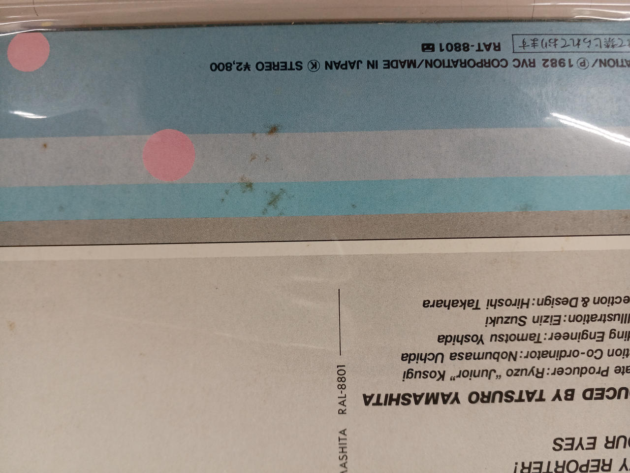 シミが多数あります