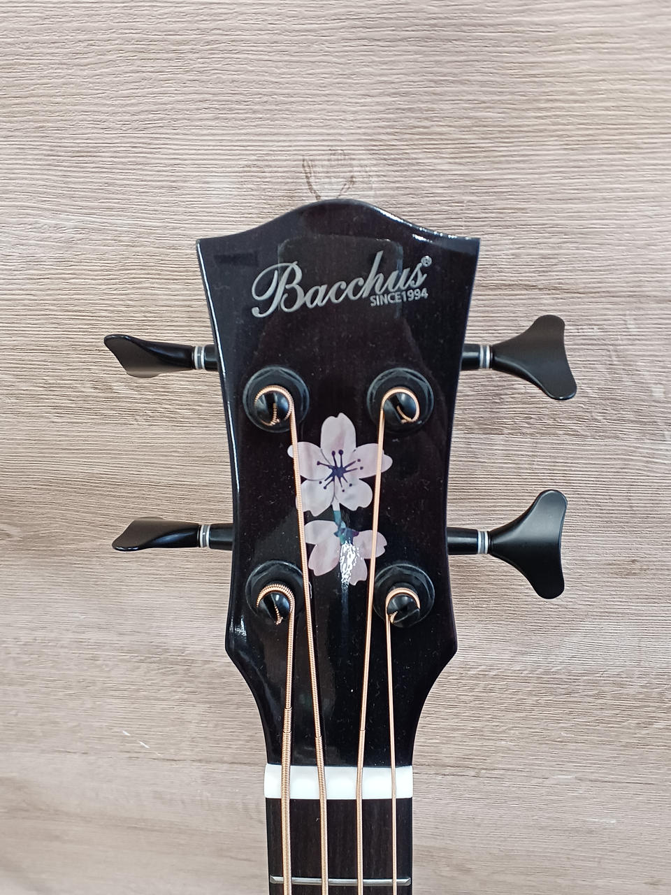 Bacchus Jayro バッカス エレクトリックアコースティックベース Bacchus Jayro バッカス エレクトリックアコースティックベース
