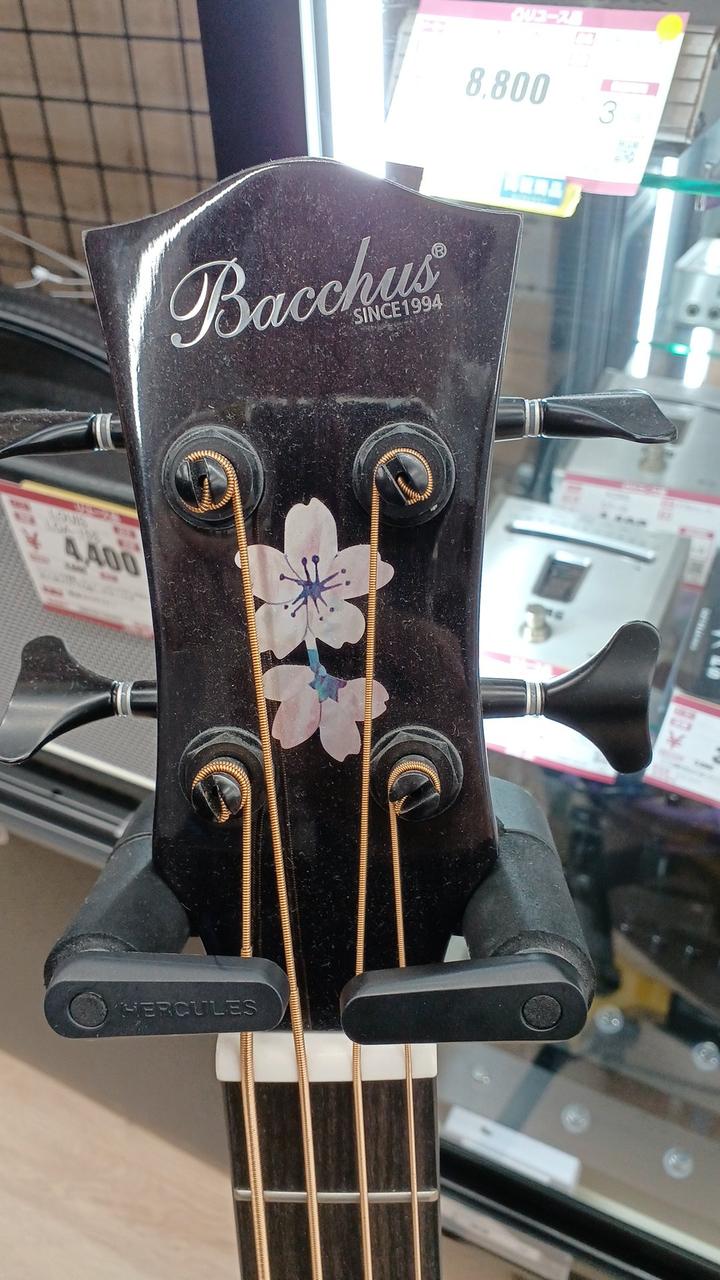 BACCHUS|アコースティックベース|【ハードオフ公式通販】オフモール