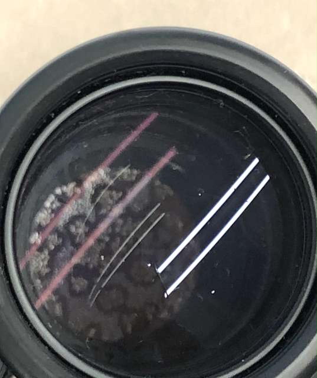 カビ？付着しています