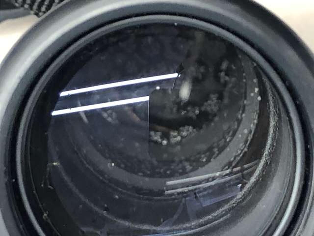 カビ？付着しています