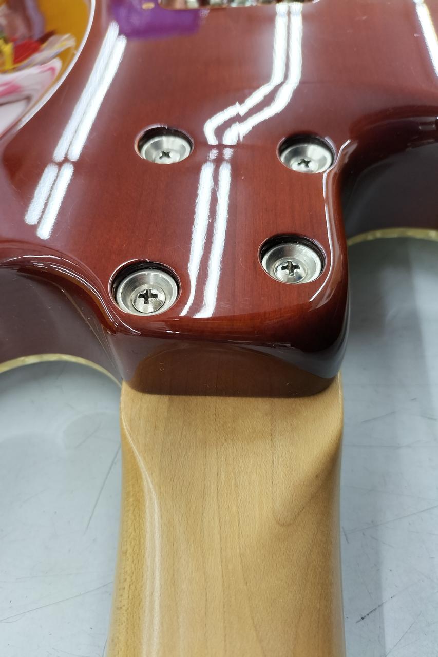 Bacchus　エレキギター T8-Custom/SE '19W KG | Deviser ｜株式会社ディバイザー｜長野