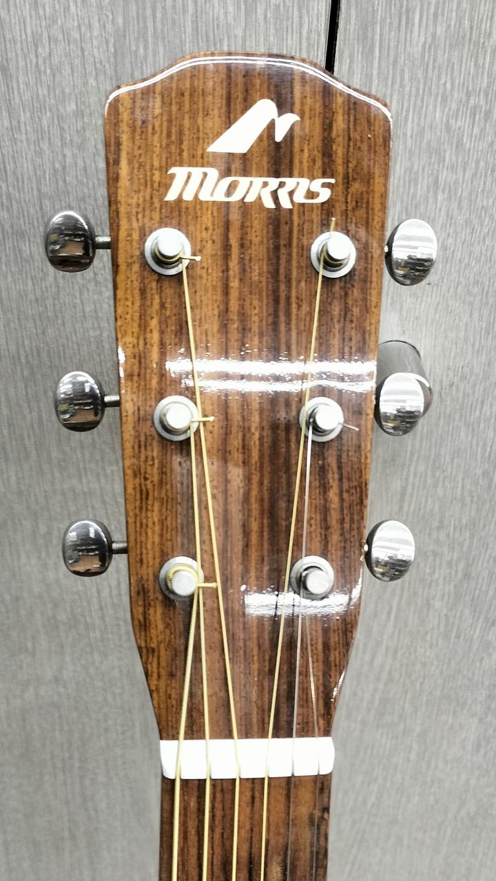 モーリスMD506 1980年代物　アコースティックギター美品 楽天市場】Morris モーリス/12弦アコースティックギター 1980