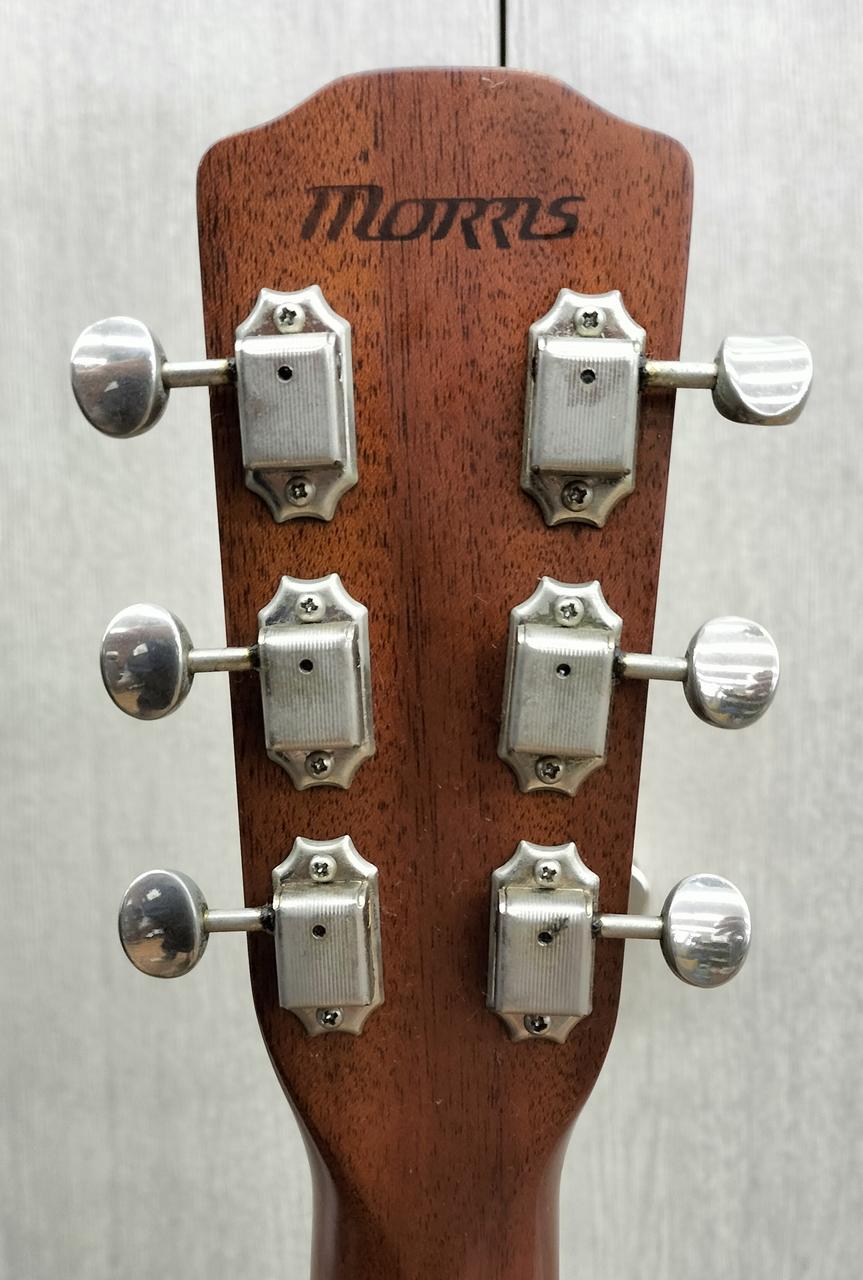 GATER CASES &モーリス ギター モーリス(MORRIS)|アコースティックギター|HARDOFFオフモール