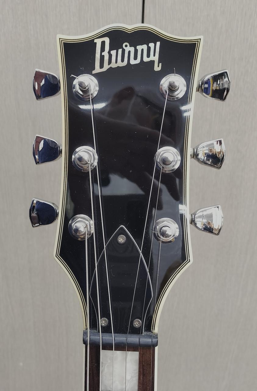 BURNY|エレキギター|HARDOFFオフモール（オフモ）|2010830000031022