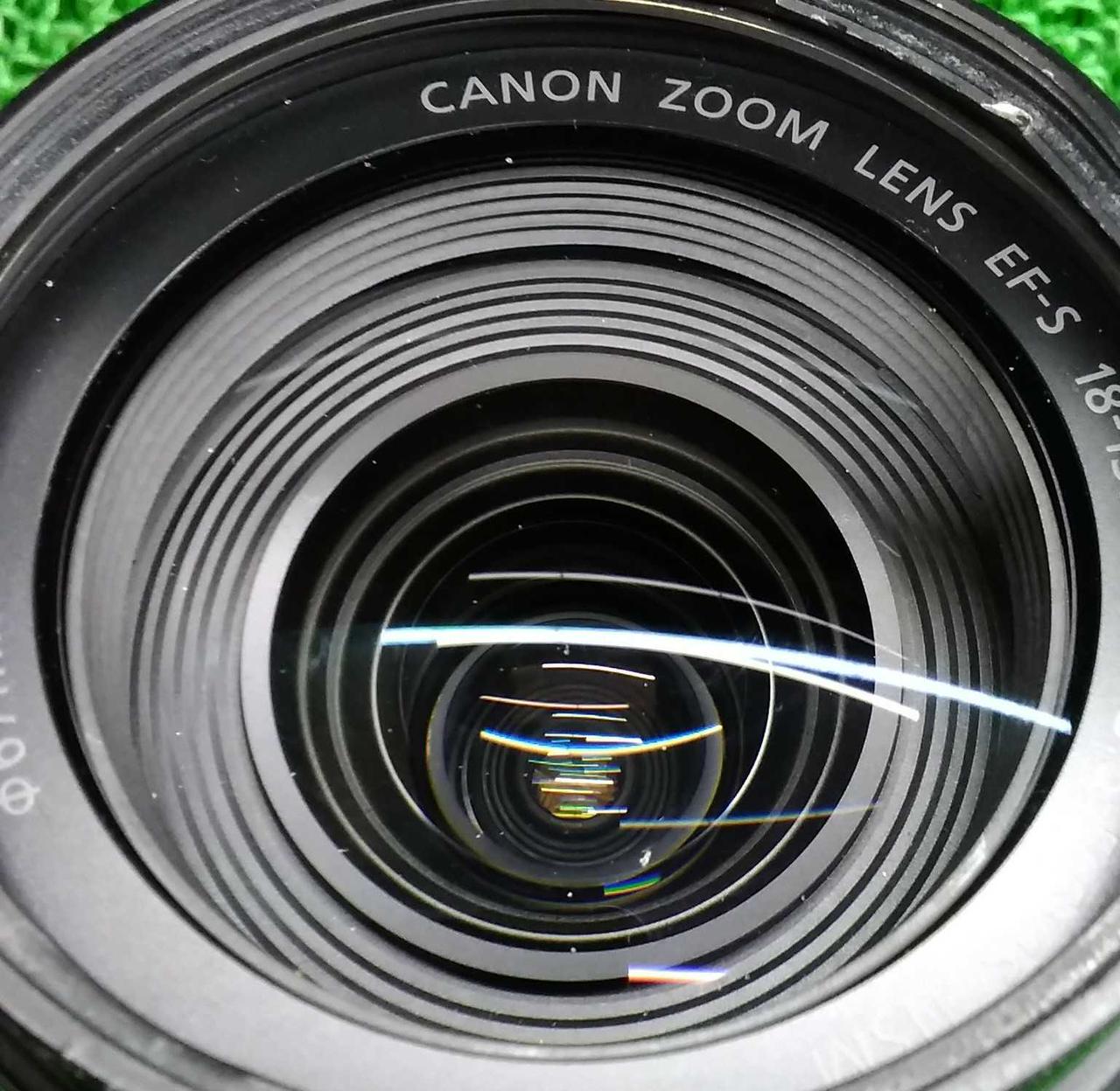 チリの入り込み目立ちます