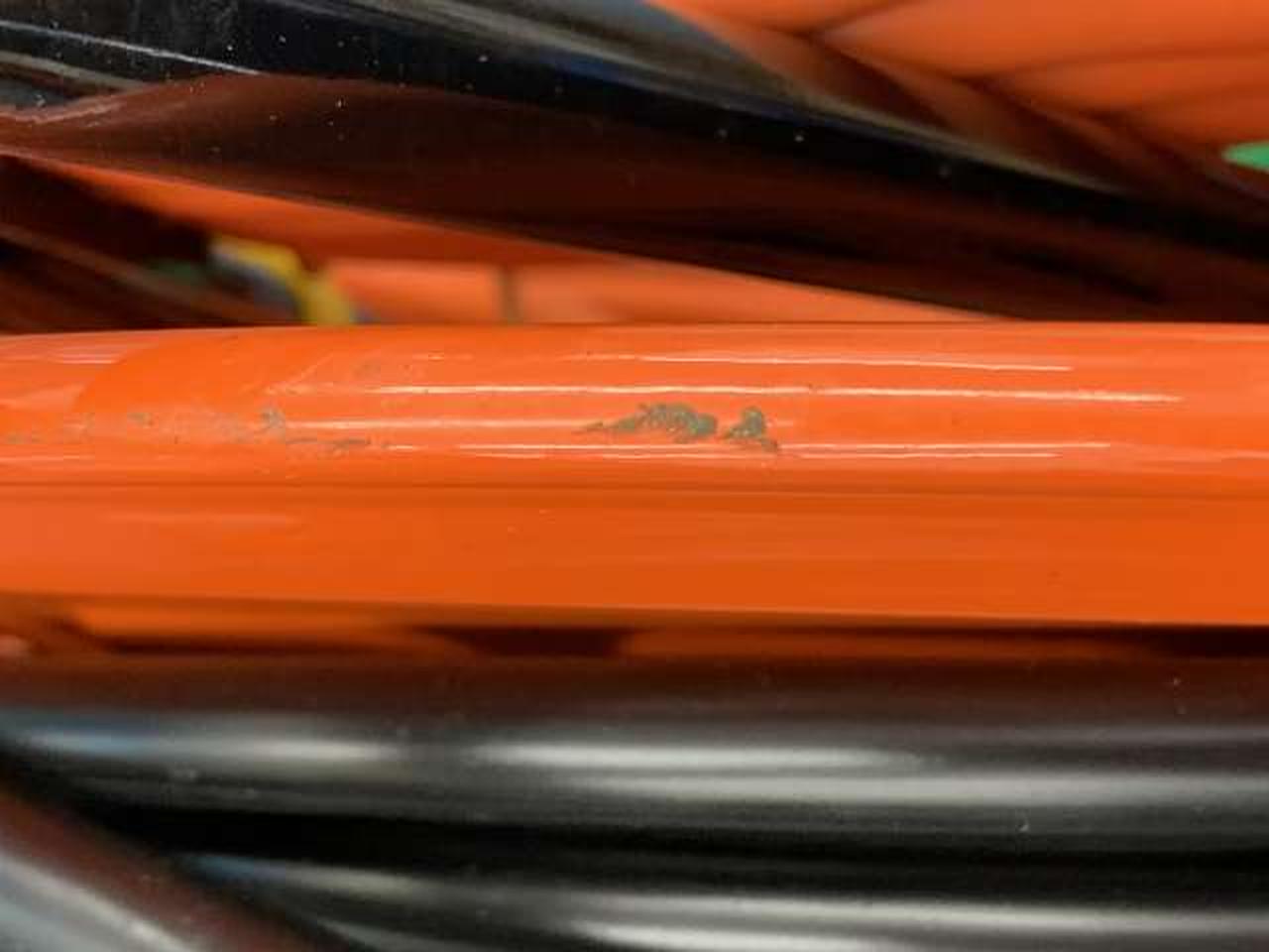 サビ見られます。