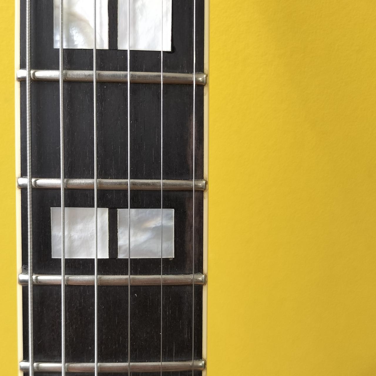 6.7フレットに変色箇所があります。